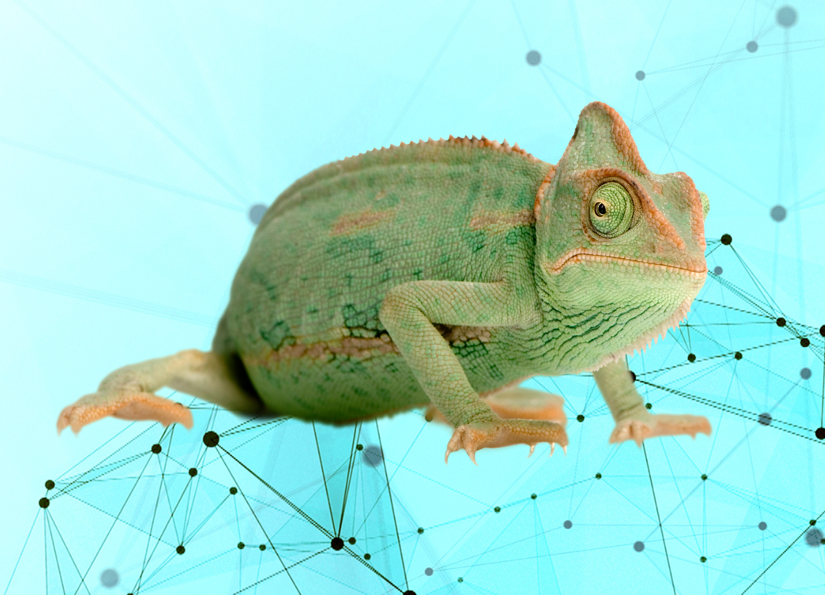 Flexibilidad basada en datos